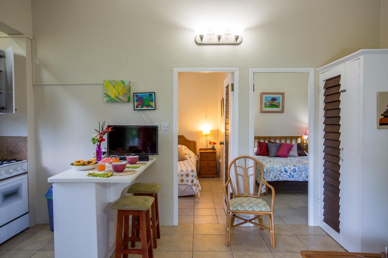 Smithy'S Eco-Apartment Morne Jaloux Ridge Eksteriør billede